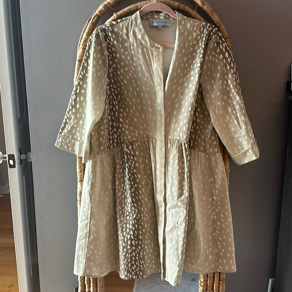 Tnuck shirt dress
